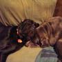Tracy Burkhart Photo 7