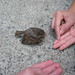 Bertrand Sparrow Photo 7