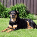Wilma Summers Photo 8