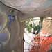 Daniel Jennings Photo 7