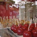 Debbie Estes Photo 15