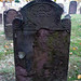 David Maples Photo 19