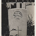 Robert Sever Photo 18