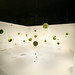 Michele Yang Photo 10