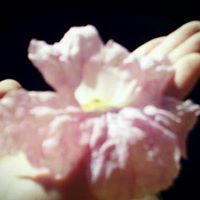 Yong Yi Photo 21