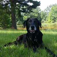 Catherine Staggs Photo 5
