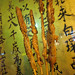 Dong Hua Photo 8