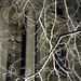 Paul Branch Photo 35