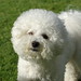 Joy Matlock Photo 10