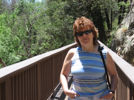 Cindy Potter Photo 37