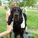 Cheryl Groves Photo 13