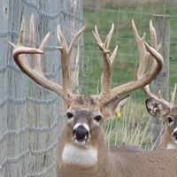 Mark Mast Photo 20