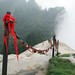Yang Zhao Photo 11