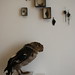 Jamie Fitzpatrick Photo 33