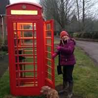 Alison Hayes Photo 33