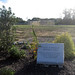 Steven Fields Photo 13