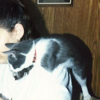 Robin Roderick Photo 6