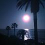 Sarah Roush Photo 20