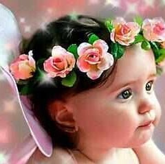 Diane Gomes Photo 7