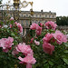 Nancy Rose Photo 12
