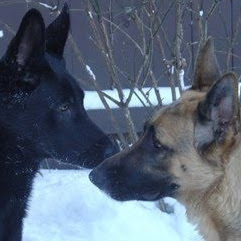 Nancy Clements Photo 6