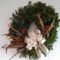 Elizabeth Workman Photo 35
