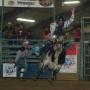 Jim Webster Photo 19