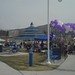 Sandra Mathewson Photo 13