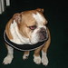 Cindy Haley Photo 23