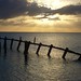 Tom Robison Photo 15