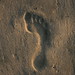 Mark Friedman Photo 32