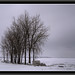 Crystal Beach Photo 33