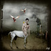 Jason Haber Photo 29
