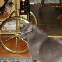 Diane Souter Photo 9