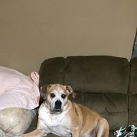Mary Hallman Photo 20