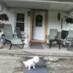 Dorthy Cook Photo 5