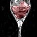 Gail Rose Photo 41