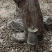 Judith Holmes Photo 14