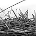 Jan Long Photo 8