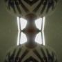 George Gaspar Photo 10