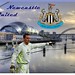 Steve Harper Photo 38