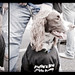 Martin Friend Photo 16