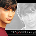Tom Paredes Photo 4