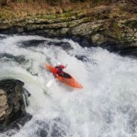 Daniel Scanlan Photo 20