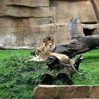 Joan Demers Photo 6