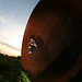 Mark Reece Photo 7