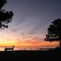 Chris Dietz Photo 6