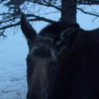 Susan Kerr Photo 17