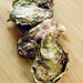 Julie Buckley Photo 39