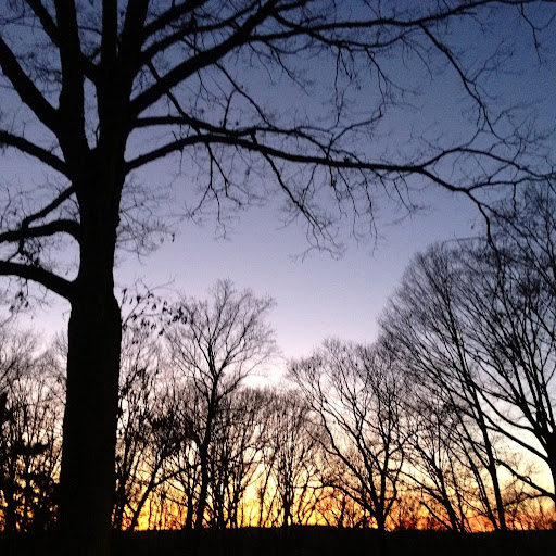 Jason Newman Photo 29